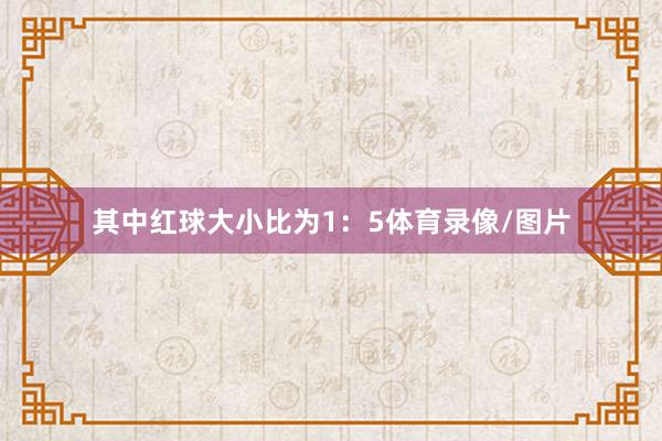 其中红球大小比为1：5体育录像/图片