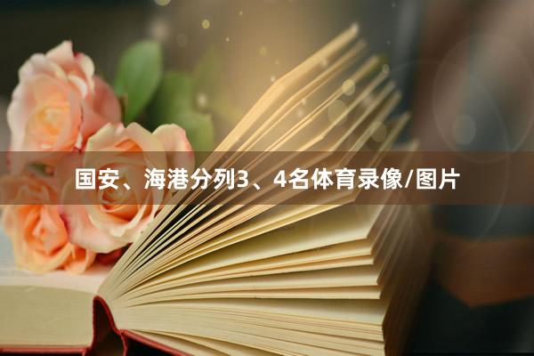 国安、海港分列3、4名体育录像/图片