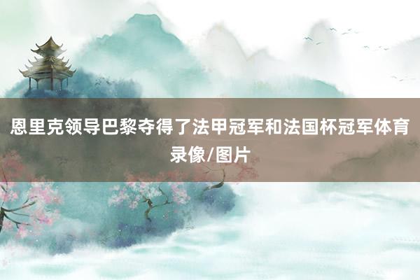恩里克领导巴黎夺得了法甲冠军和法国杯冠军体育录像/图片