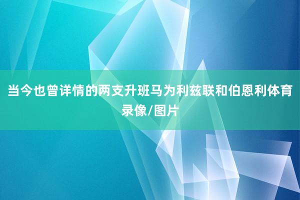 当今也曾详情的两支升班马为利兹联和伯恩利体育录像/图片