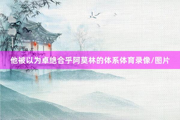 他被以为卓绝合乎阿莫林的体系体育录像/图片