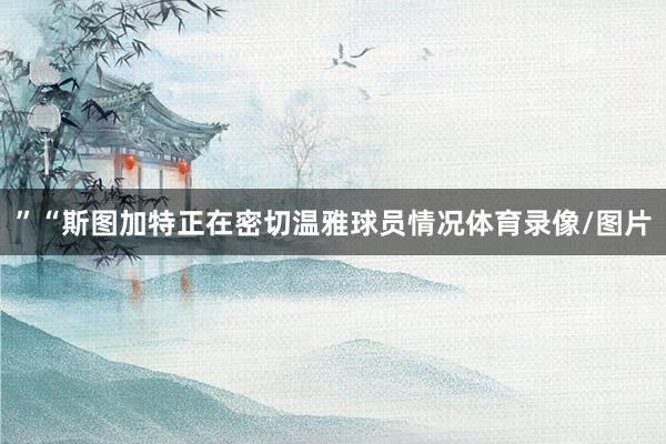 ”“斯图加特正在密切温雅球员情况体育录像/图片