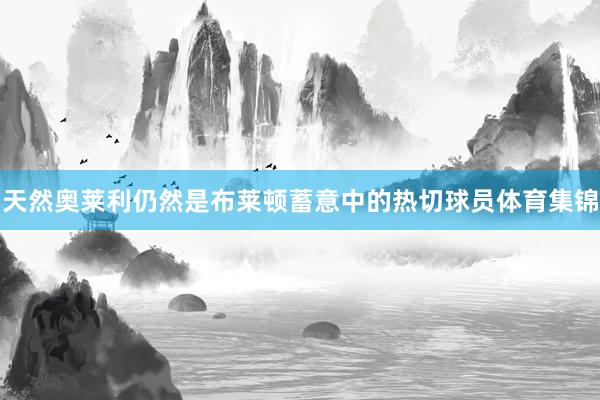 天然奥莱利仍然是布莱顿蓄意中的热切球员体育集锦