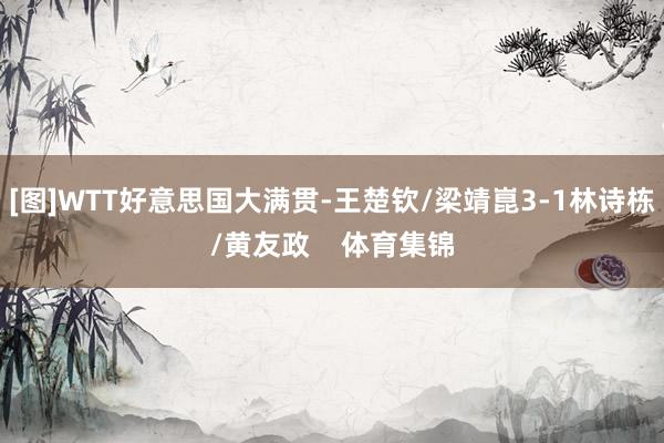 [图]WTT好意思国大满贯-王楚钦/梁靖崑3-1林诗栋/黄友政    体育集锦