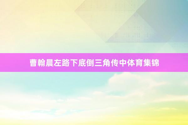 曹翰晨左路下底倒三角传中体育集锦