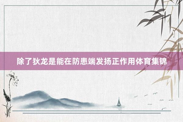 除了狄龙是能在防患端发扬正作用体育集锦
