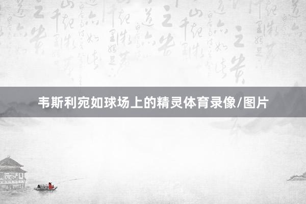 韦斯利宛如球场上的精灵体育录像/图片