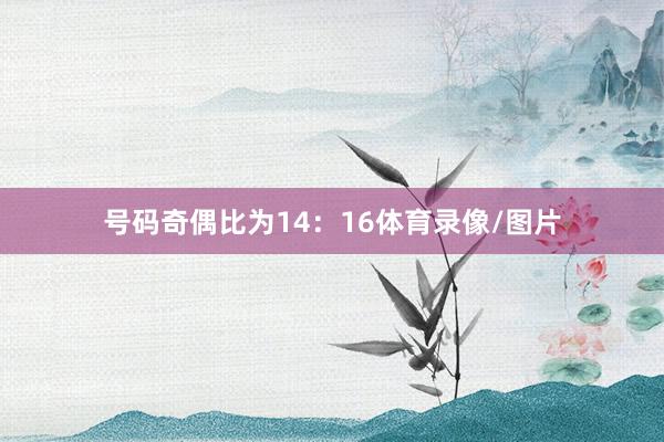 号码奇偶比为14：16体育录像/图片