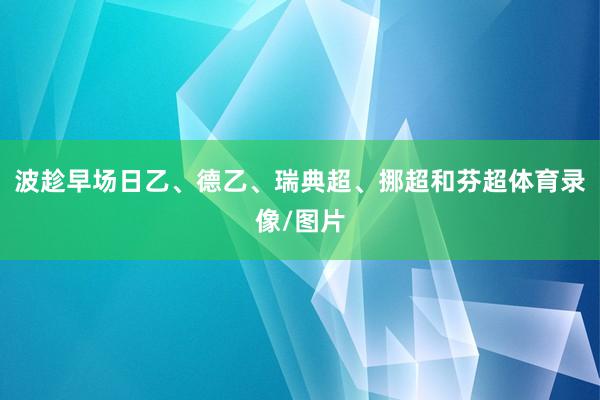 波趁早场日乙、德乙、瑞典超、挪超和芬超体育录像/图片