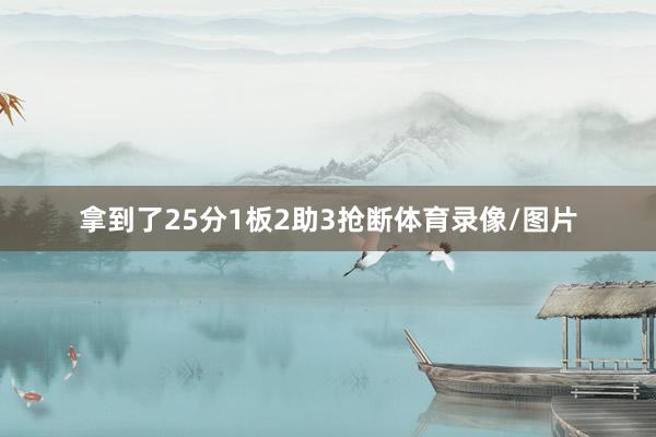 拿到了25分1板2助3抢断体育录像/图片