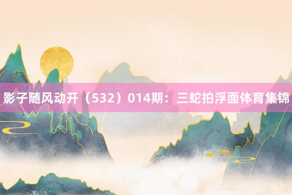影子随风动开（532）　　014期：三蛇拍浮面体育集锦