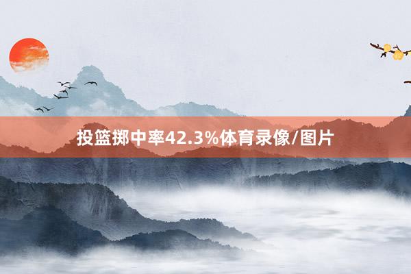 投篮掷中率42.3%体育录像/图片