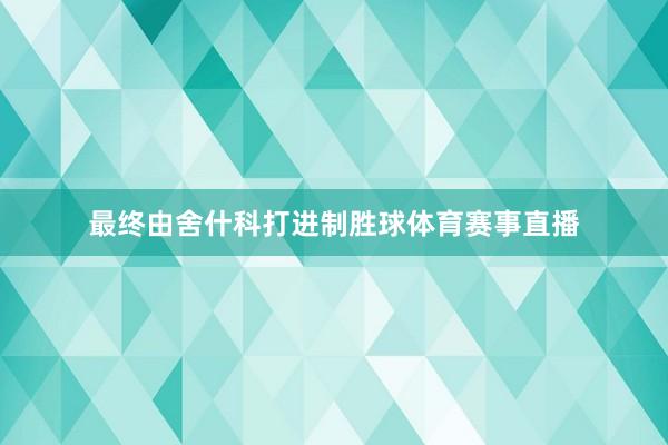 最终由舍什科打进制胜球体育赛事直播