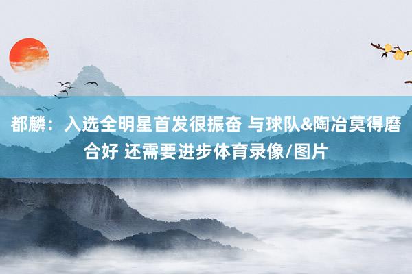 都麟：入选全明星首发很振奋 与球队&陶冶莫得磨合好 还需要进步体育录像/图片