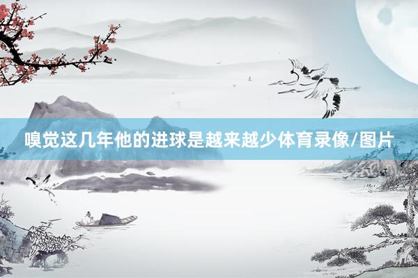 嗅觉这几年他的进球是越来越少体育录像/图片