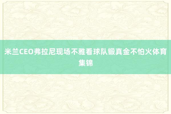 米兰CEO弗拉尼现场不雅看球队锻真金不怕火体育集锦