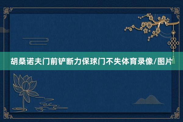 胡桑诺夫门前铲断力保球门不失体育录像/图片