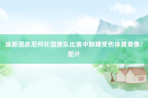 埃斯图皮尼何在国度队比赛中脚踝受伤体育录像/图片