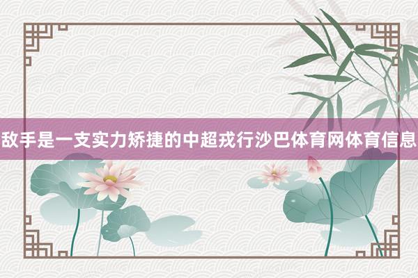 敌手是一支实力矫捷的中超戎行沙巴体育网体育信息