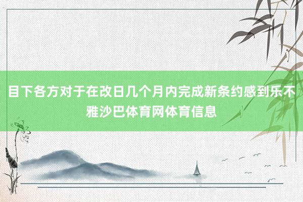 目下各方对于在改日几个月内完成新条约感到乐不雅沙巴体育网体育信息