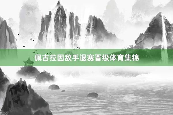 佩古拉因敌手退赛晋级体育集锦