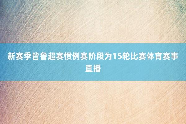 新赛季皆鲁超赛惯例赛阶段为15轮比赛体育赛事直播