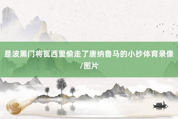 是波黑门将瓦西里偷走了唐纳鲁马的小抄体育录像/图片