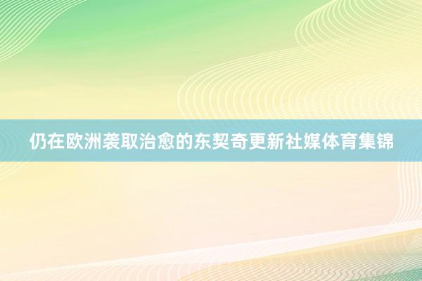 仍在欧洲袭取治愈的东契奇更新社媒体育集锦