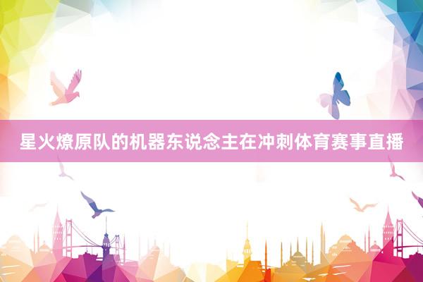 星火燎原队的机器东说念主在冲刺体育赛事直播