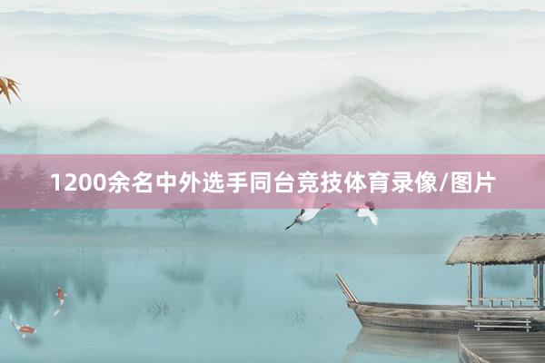 1200余名中外选手同台竞技体育录像/图片