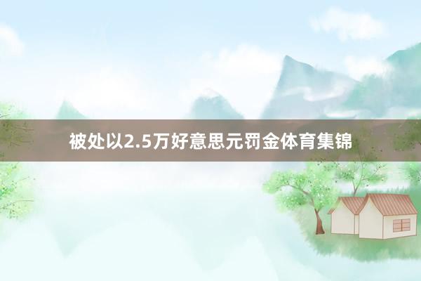 被处以2.5万好意思元罚金体育集锦