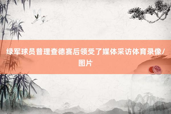 绿军球员普理查德赛后领受了媒体采访体育录像/图片