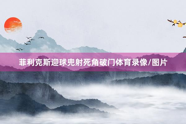 菲利克斯迎球兜射死角破门体育录像/图片