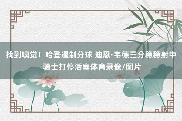 找到嗅觉！哈登遏制分球 迪恩·韦德三分稳稳射中 骑士打停活塞体育录像/图片