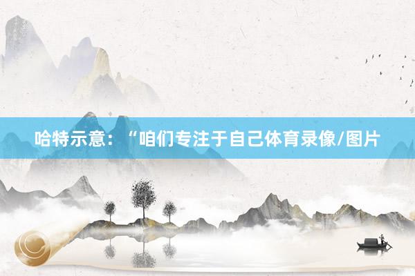 哈特示意：“咱们专注于自己体育录像/图片