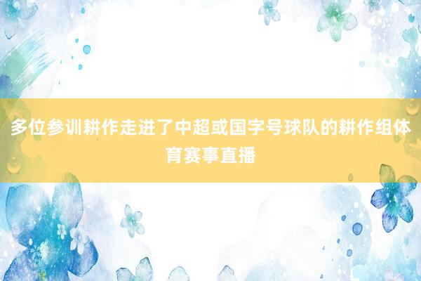 多位参训耕作走进了中超或国字号球队的耕作组体育赛事直播