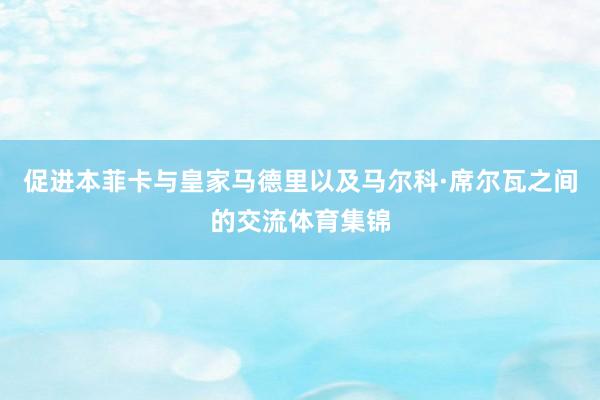 促进本菲卡与皇家马德里以及马尔科·席尔瓦之间的交流体育集锦
