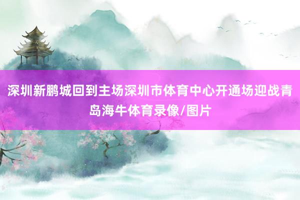 深圳新鹏城回到主场深圳市体育中心开通场迎战青岛海牛体育录像/图片