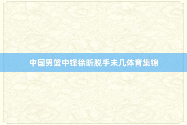 中国男篮中锋徐昕脱手未几体育集锦