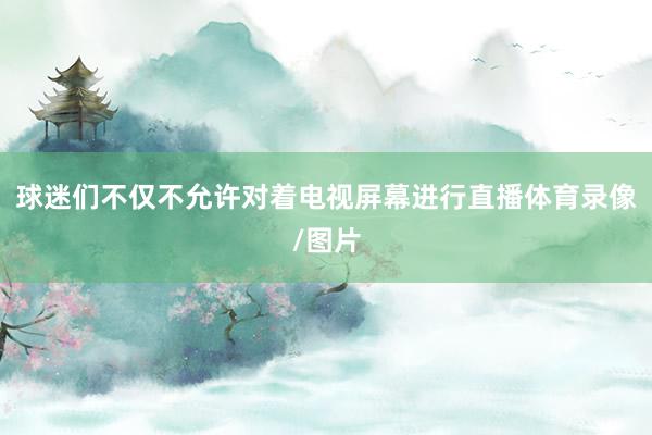 球迷们不仅不允许对着电视屏幕进行直播体育录像/图片