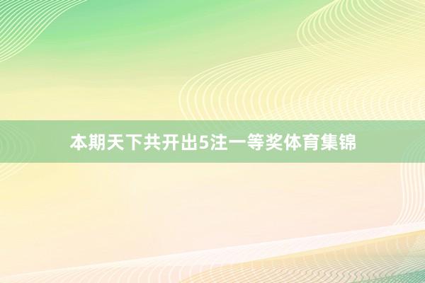 本期天下共开出5注一等奖体育集锦