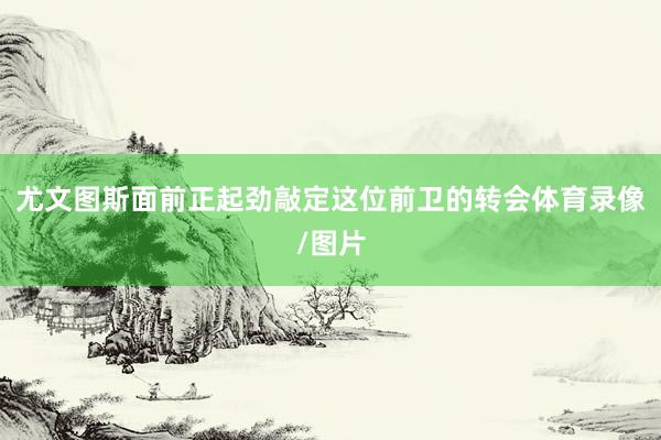 尤文图斯面前正起劲敲定这位前卫的转会体育录像/图片