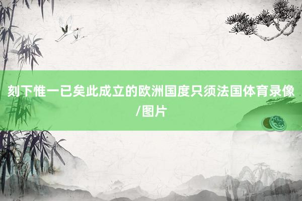 刻下惟一已矣此成立的欧洲国度只须法国体育录像/图片