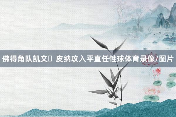 佛得角队凯文・皮纳攻入平直任性球体育录像/图片
