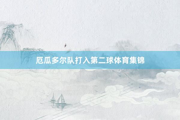 厄瓜多尔队打入第二球体育集锦